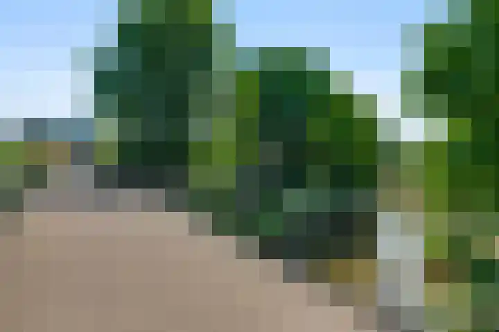 Voorstad Sint Jacob 90 Roermond thumbnail 31