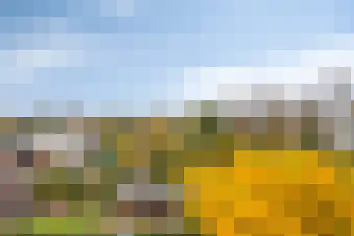 Voorstad Sint Jacob 97 Roermond thumbnail 14
