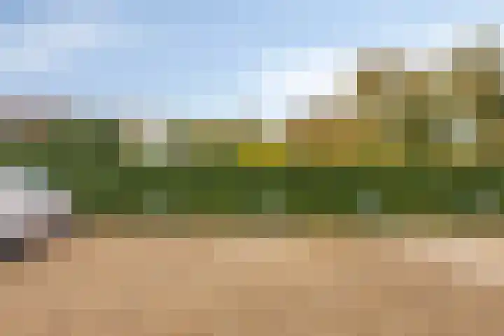 Voorstad Sint Jacob 97 Roermond thumbnail 29