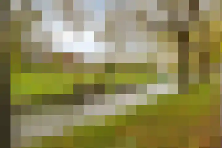 Voorstad Sint Jacob 97 Roermond thumbnail 33