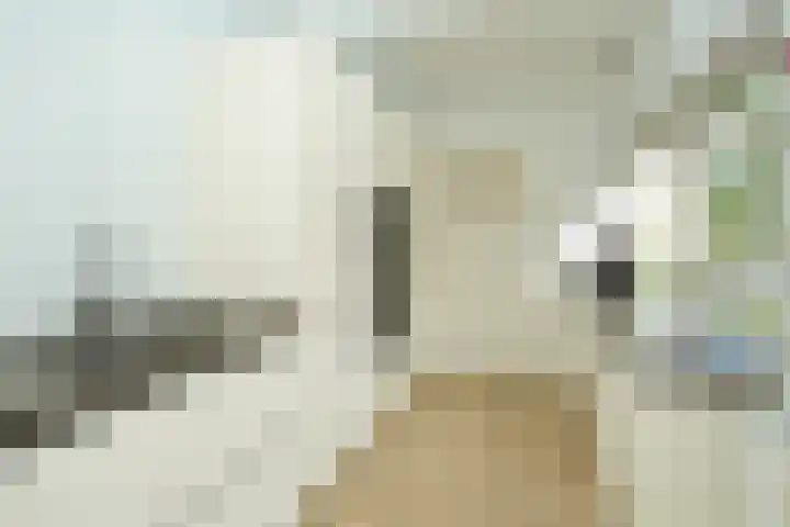 Voorstadslaan 110 Nijmegen thumbnail 16