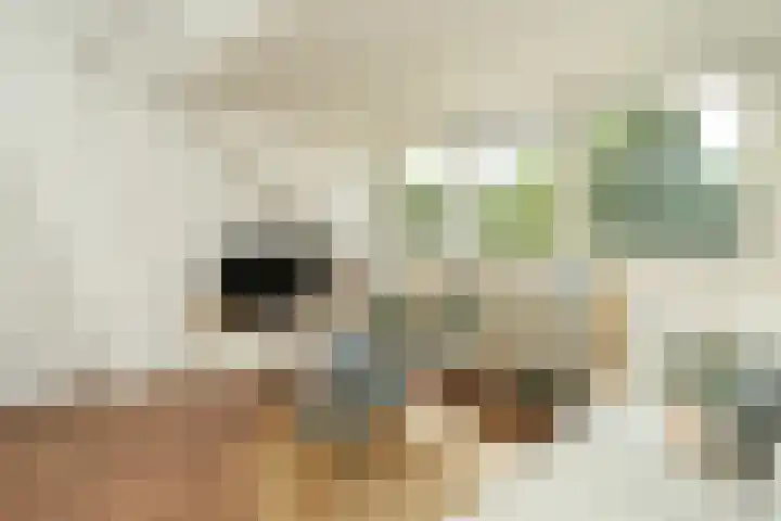 Voorstadslaan 110 Nijmegen thumbnail 34