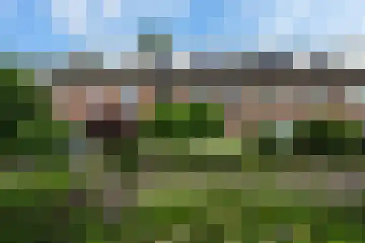 Voorstadslaan 110 Nijmegen thumbnail 4