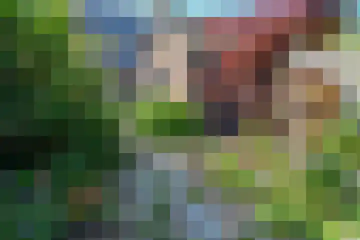 Voorstadslaan 110 Nijmegen thumbnail 41