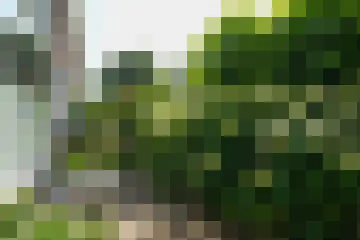 Voorstadslaan 110 Nijmegen thumbnail 43