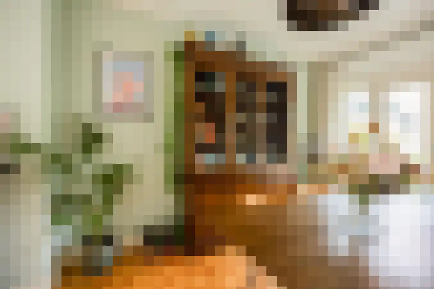 Voorstadslaan 12 Nijmegen thumbnail 10