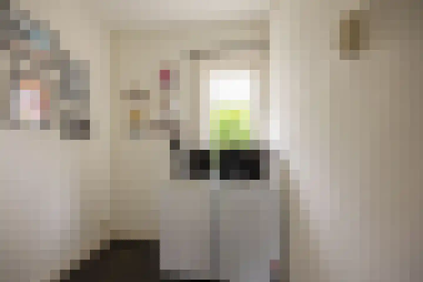 Voorstadslaan 12 Nijmegen thumbnail 16