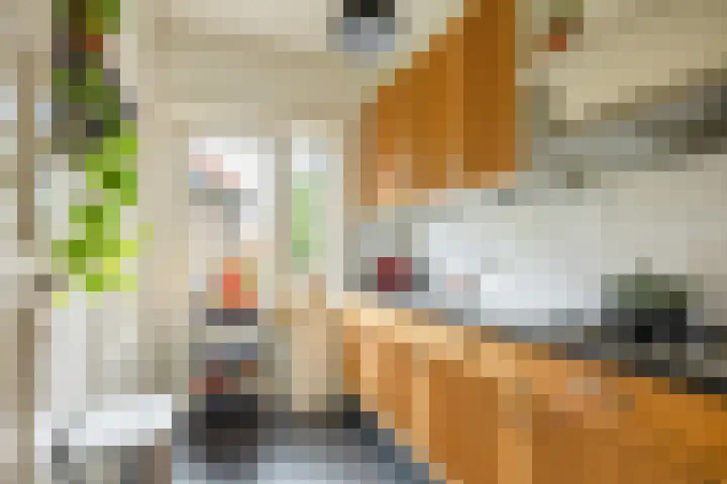 Voorstadslaan 12 Nijmegen thumbnail 17