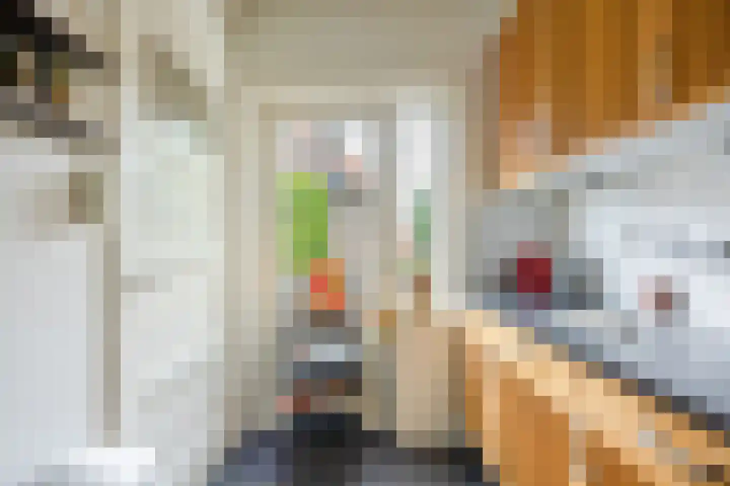 Voorstadslaan 12 Nijmegen thumbnail 18