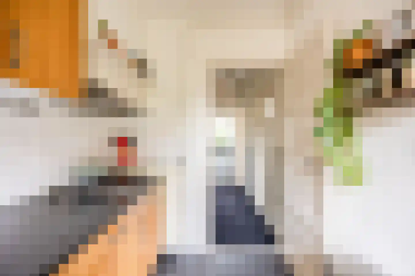 Voorstadslaan 12 Nijmegen thumbnail 19