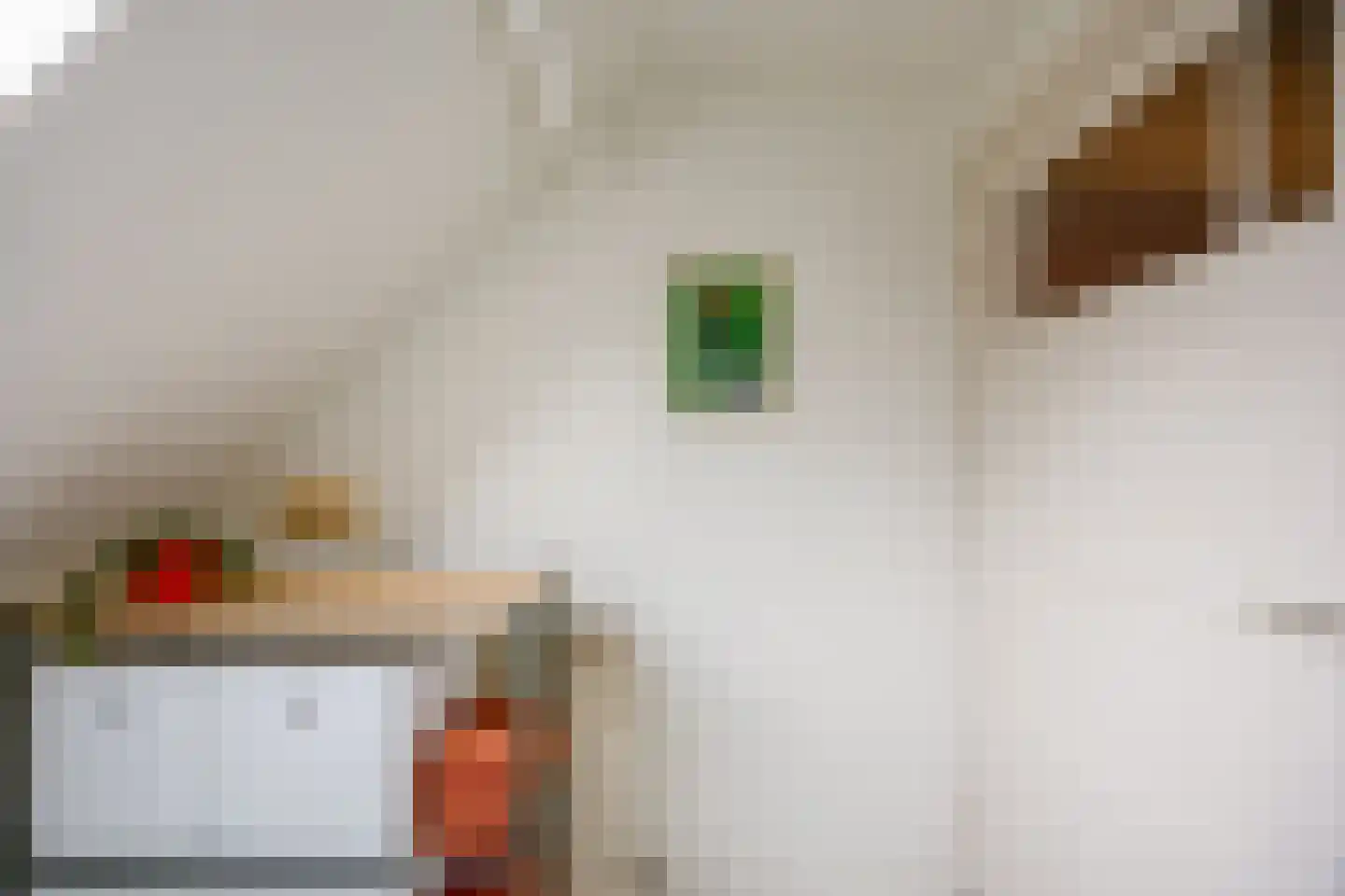 Voorstadslaan 12 Nijmegen thumbnail 27