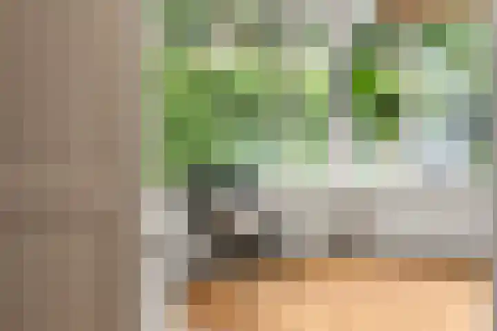 Voorstadslaan 132 Nijmegen thumbnail 20