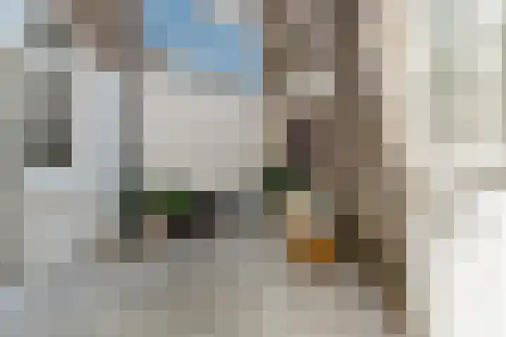Voorstadslaan 132 Nijmegen thumbnail 39
