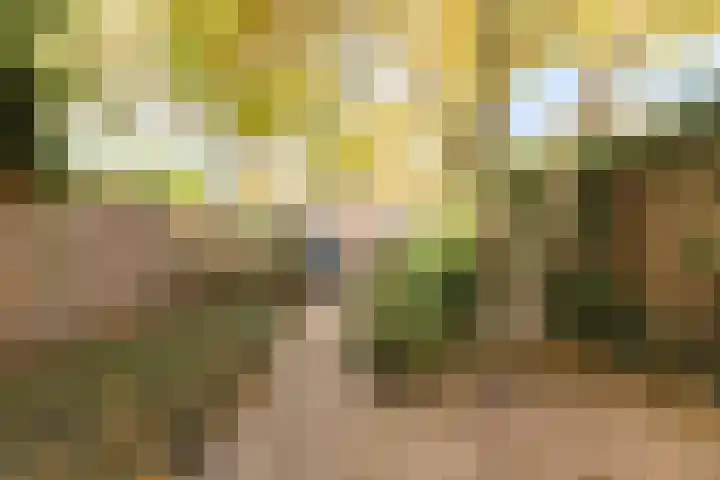 Voorstadslaan 150 Nijmegen thumbnail 12