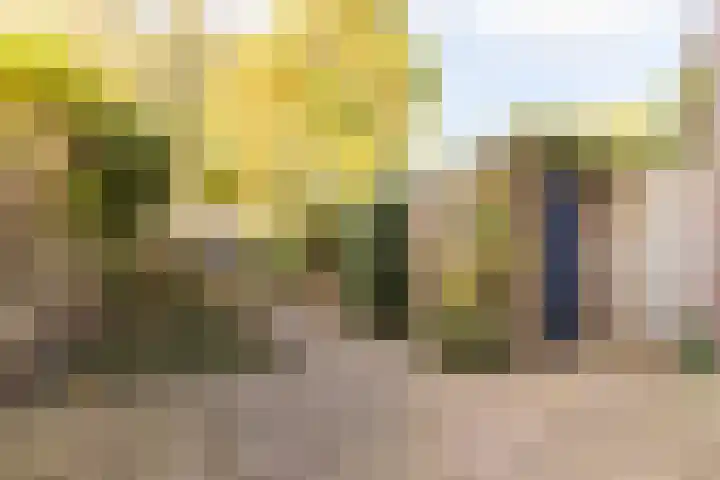 Voorstadslaan 150 Nijmegen thumbnail 15