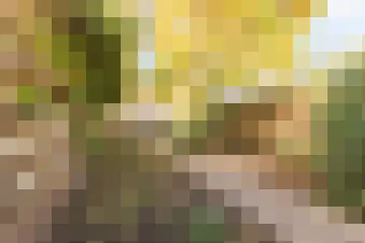 Voorstadslaan 150 Nijmegen thumbnail 16