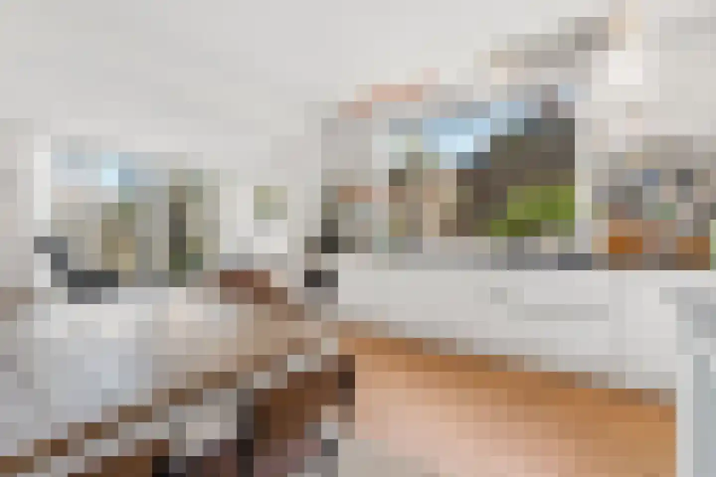Voorstadslaan 198 Nijmegen thumbnail 19