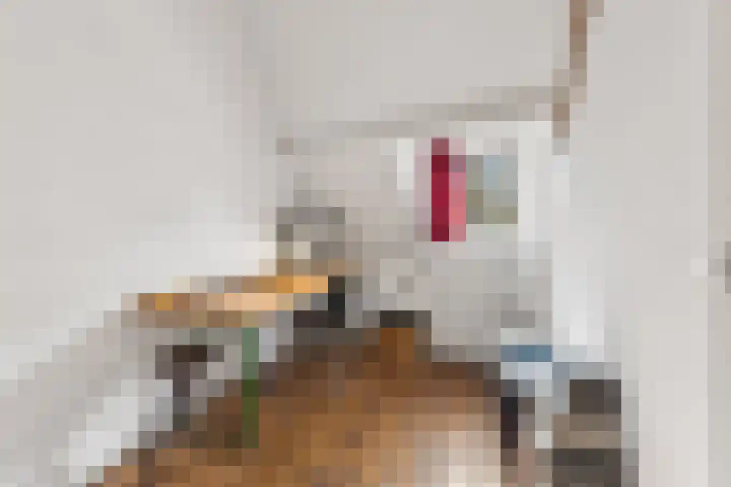 Voorstadslaan 198 Nijmegen thumbnail 25