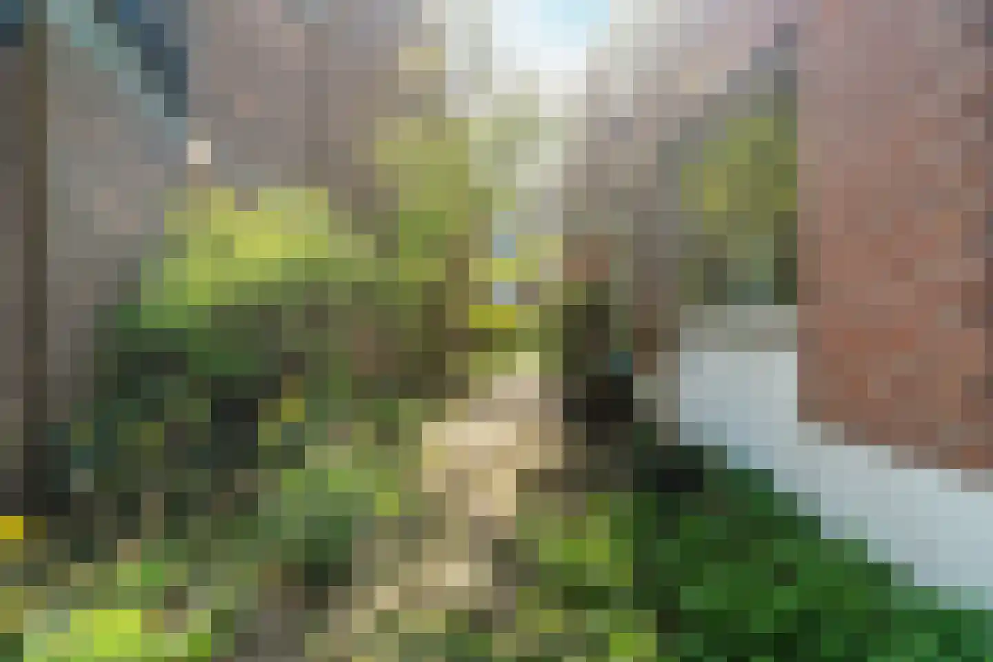 Voorstadslaan 198 Nijmegen thumbnail 37