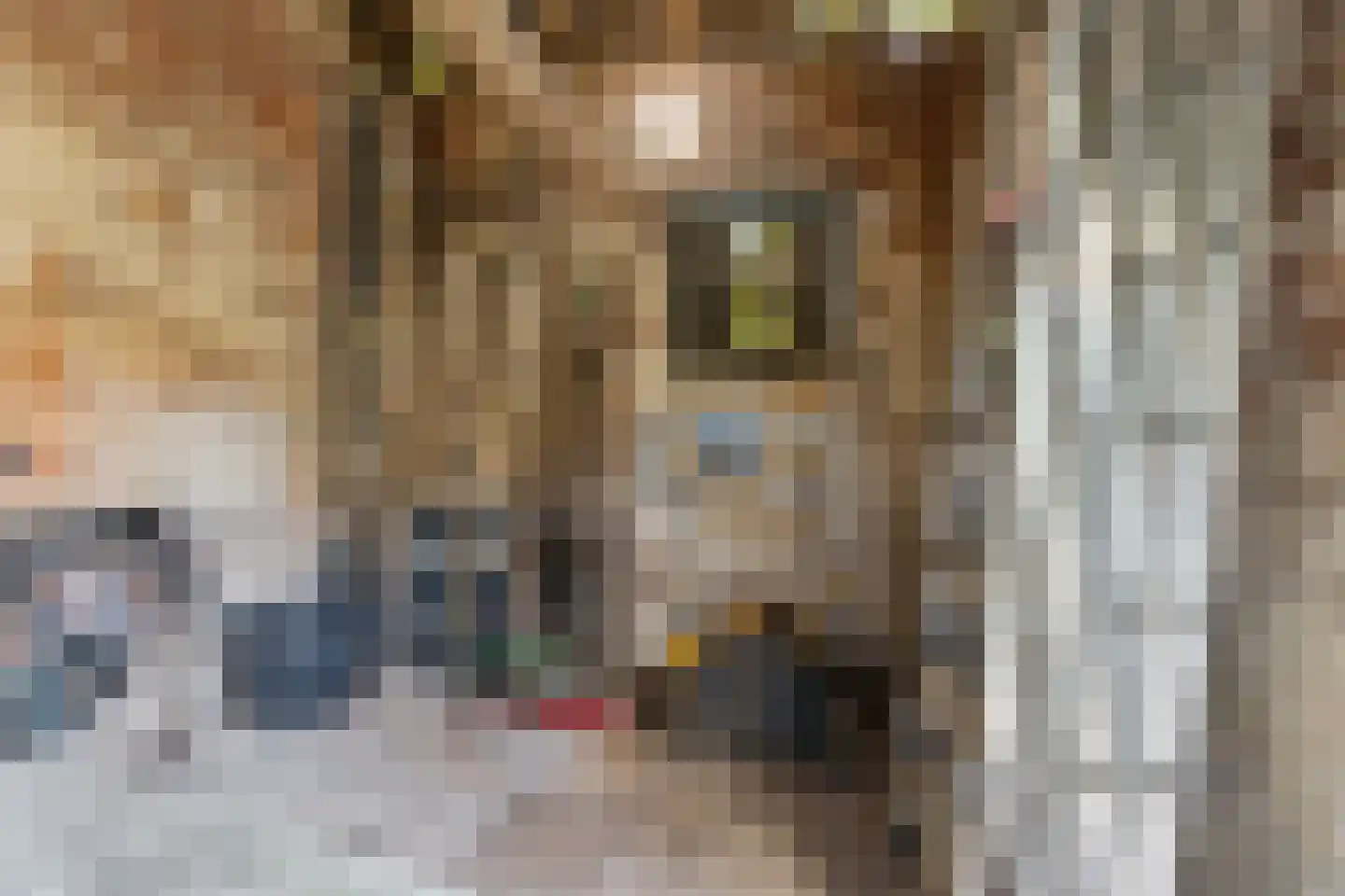 Voorstadslaan 198 Nijmegen thumbnail 38