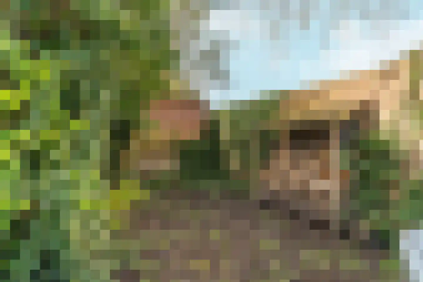 Voorstadslaan 198 Nijmegen thumbnail 44
