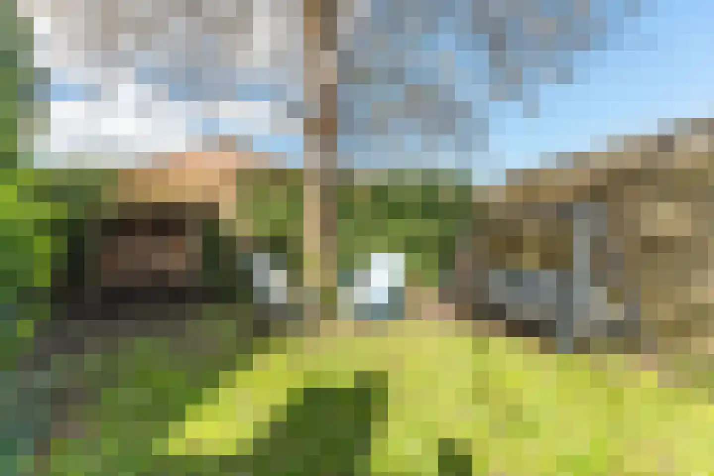 Voorstadslaan 198 Nijmegen thumbnail 6