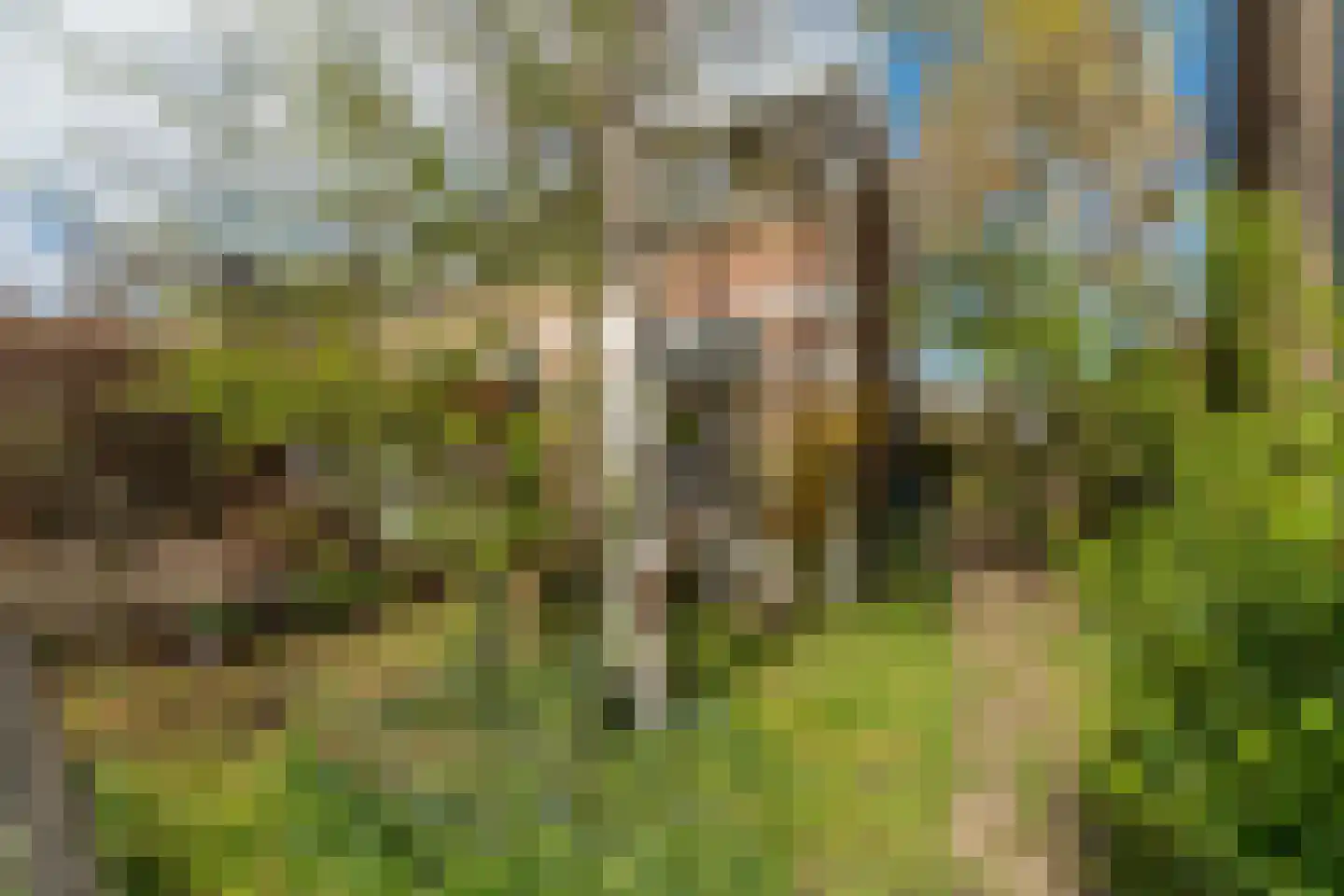 Voorstadslaan 198 Nijmegen thumbnail 7