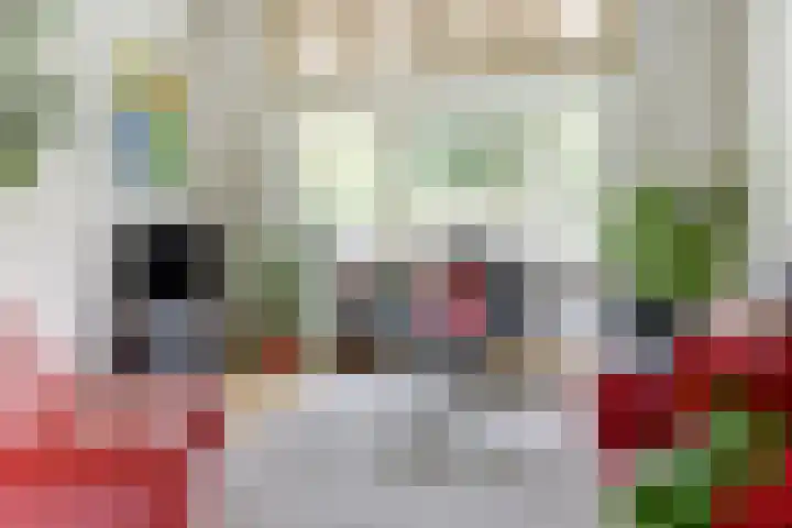 Voorstadslaan 224 Nijmegen thumbnail 11