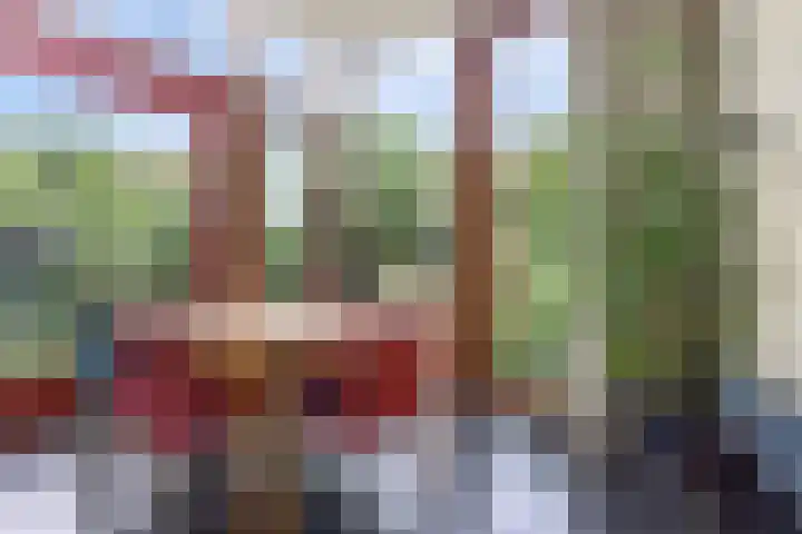 Voorstadslaan 224 Nijmegen thumbnail 22