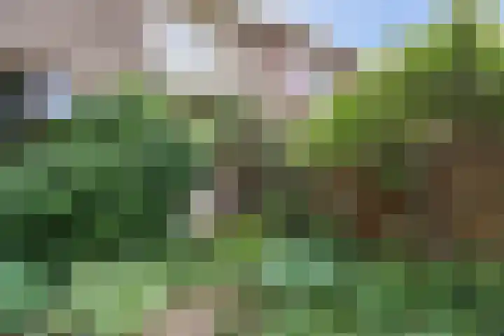 Voorstadslaan 224 Nijmegen thumbnail 57
