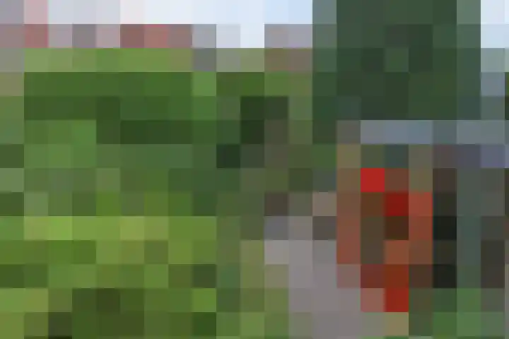 Voorstadslaan 224 Nijmegen thumbnail 58