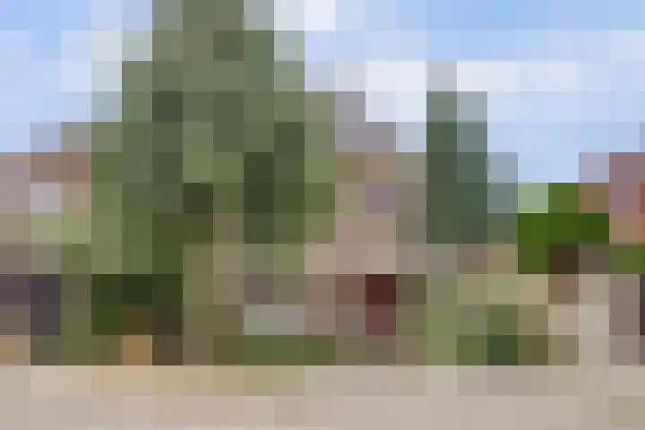 Voorstadslaan 224 Nijmegen thumbnail 63