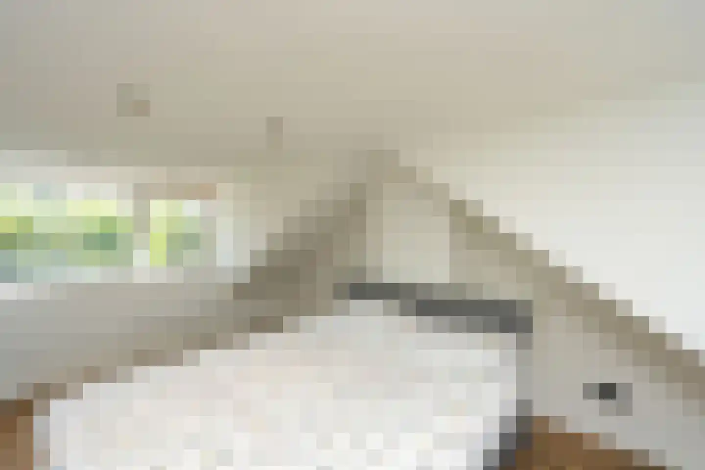 Voorstadslaan 331 Nijmegen thumbnail 38