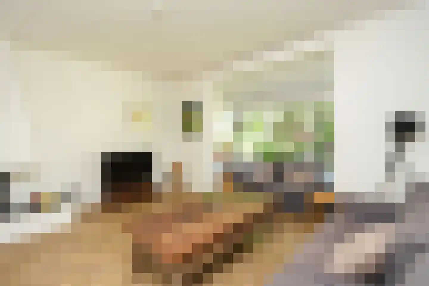 Voorstadslaan 331 Nijmegen thumbnail 8