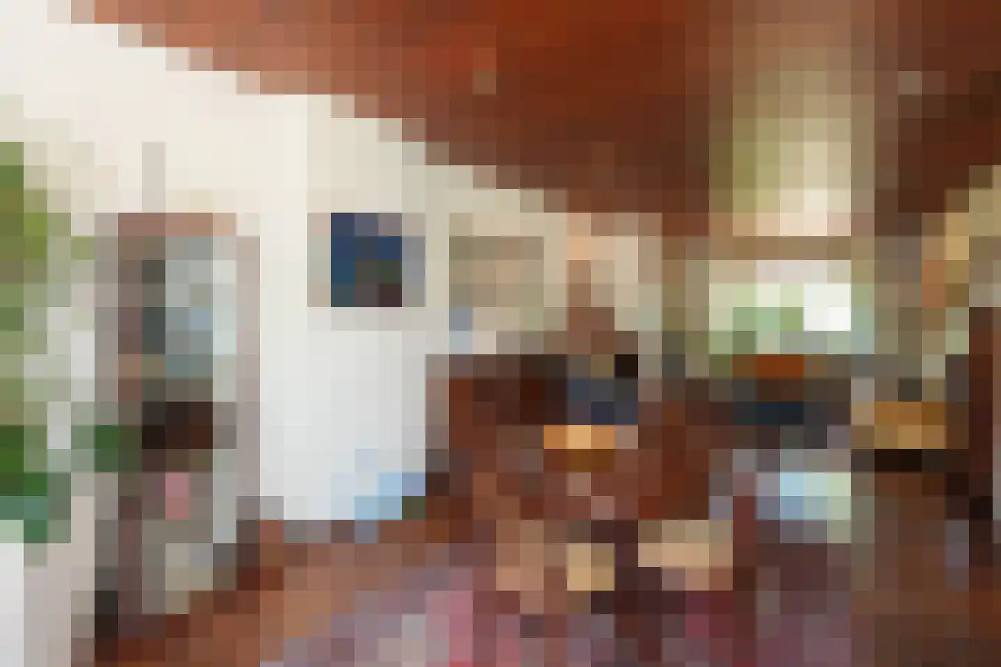Voorstadslaan 355 Nijmegen thumbnail 13