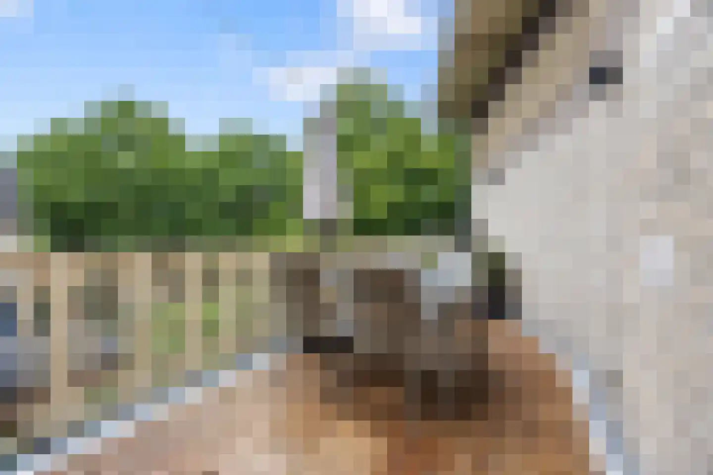 Voorstadslaan 49 C Nijmegen thumbnail 11