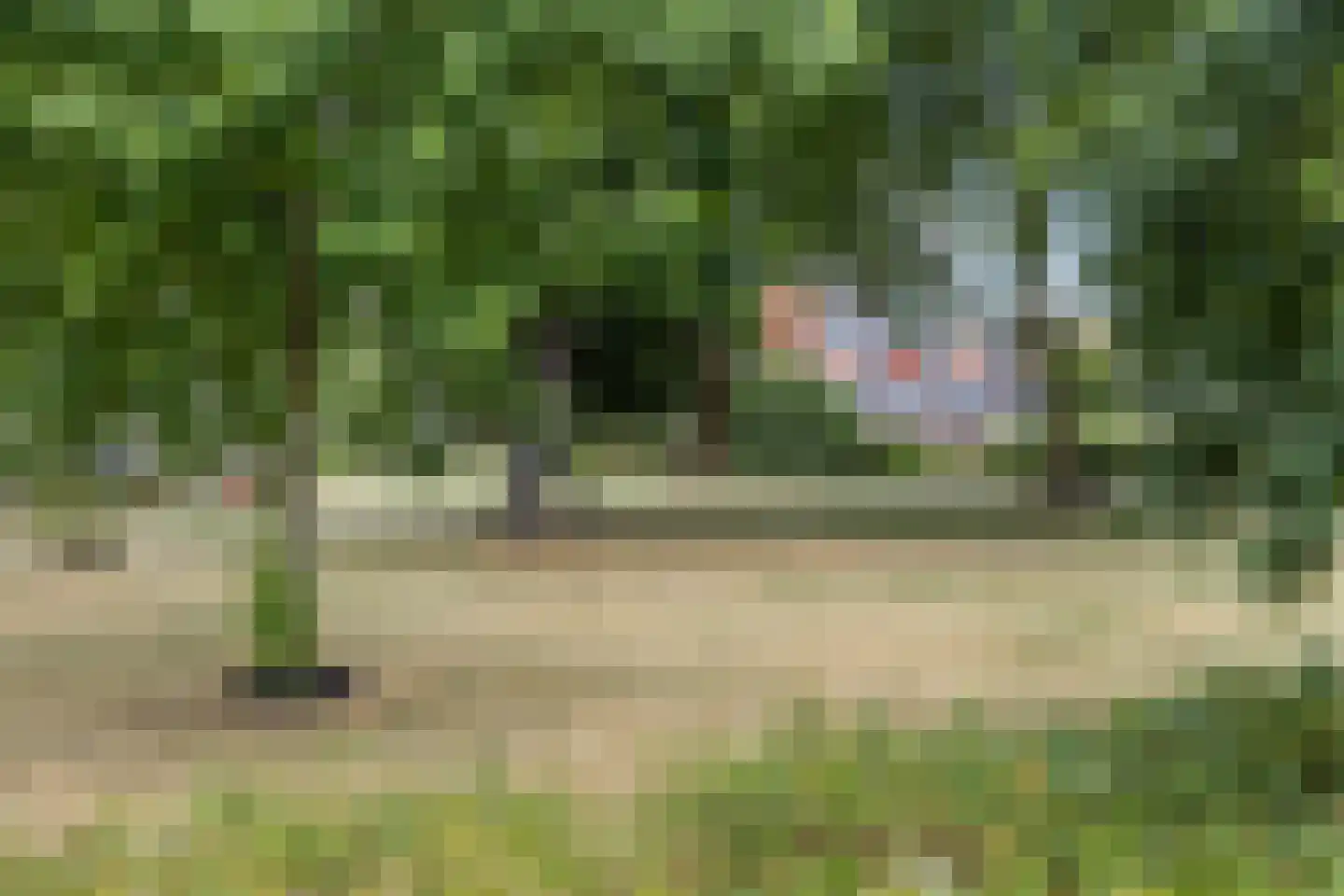 Voorstadslaan 49 C Nijmegen thumbnail 29