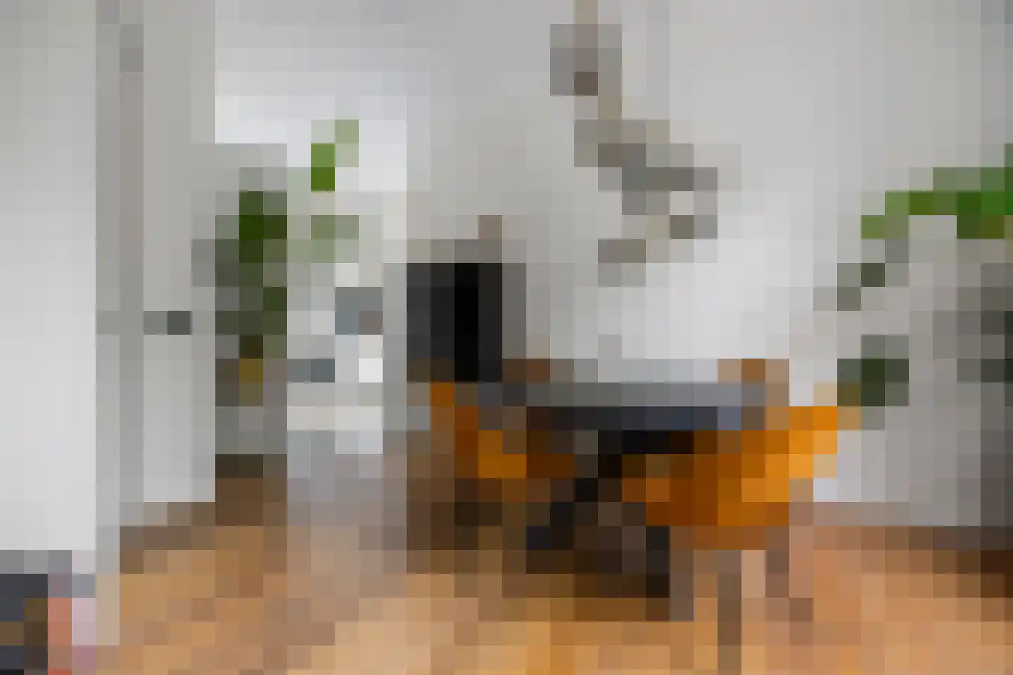Voorstadslaan 49 C Nijmegen thumbnail 7