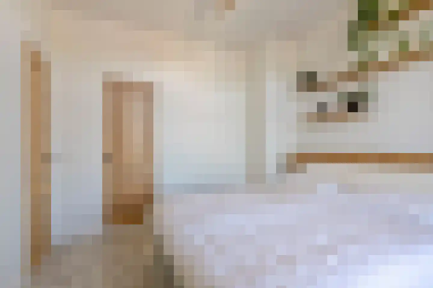 Voorstadslaan 62 Nijmegen thumbnail 31