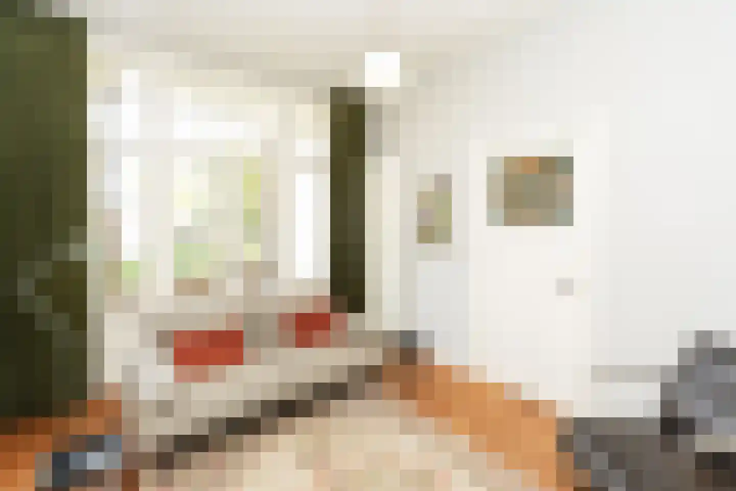 Voorstadslaan 63 Nijmegen thumbnail 10