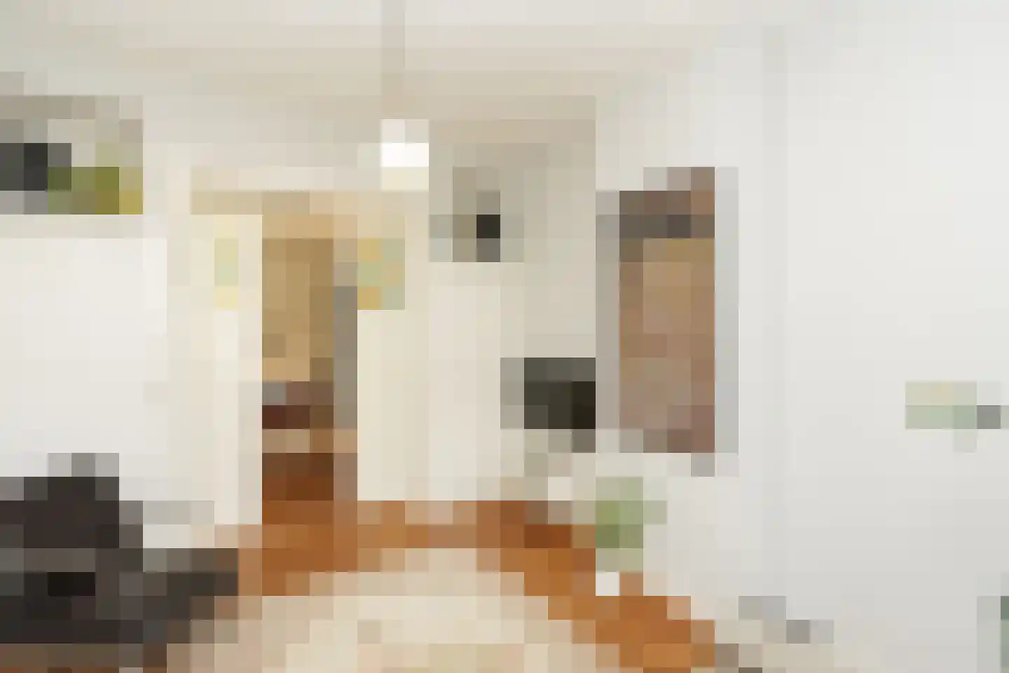 Voorstadslaan 63 Nijmegen thumbnail 15
