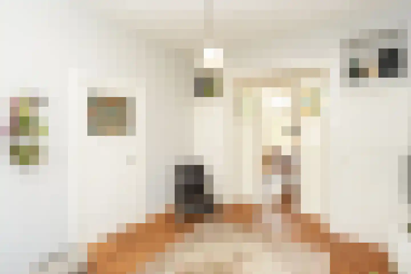 Voorstadslaan 63 Nijmegen thumbnail 16