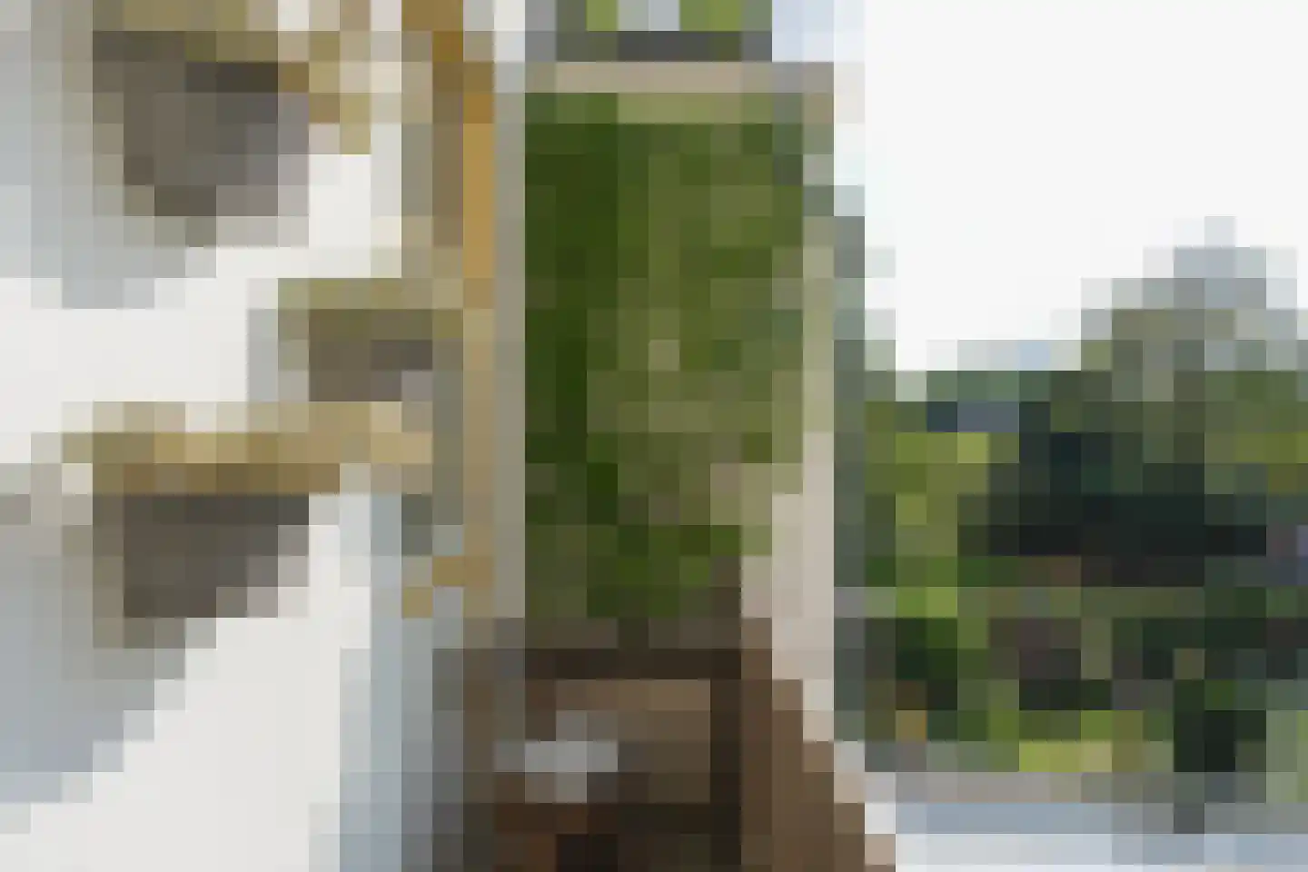 Voorstadslaan 63 Nijmegen thumbnail 32
