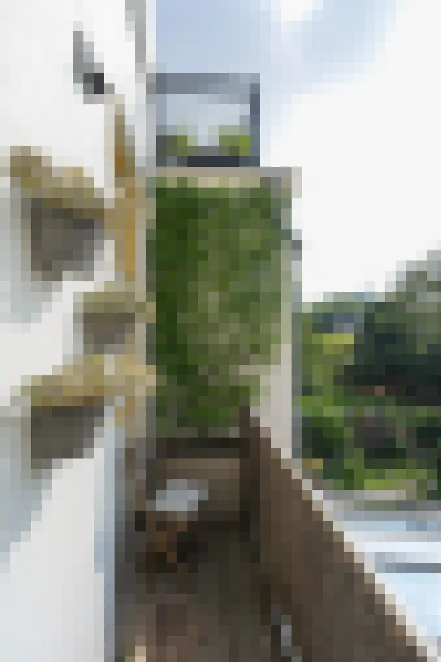 Voorstadslaan 63 Nijmegen thumbnail 33