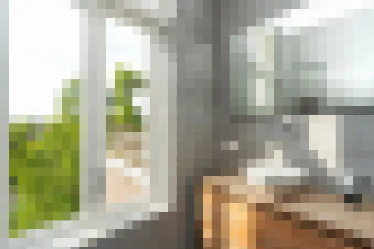 Voorstadslaan 63 Nijmegen thumbnail 42