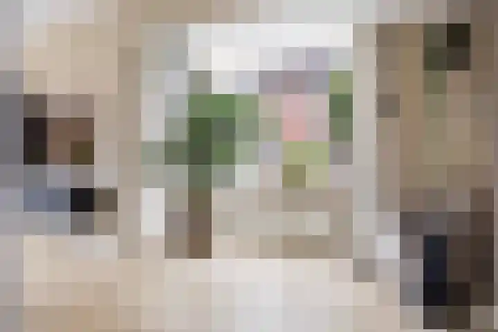 Voorstag 12 Klazienaveen thumbnail 10