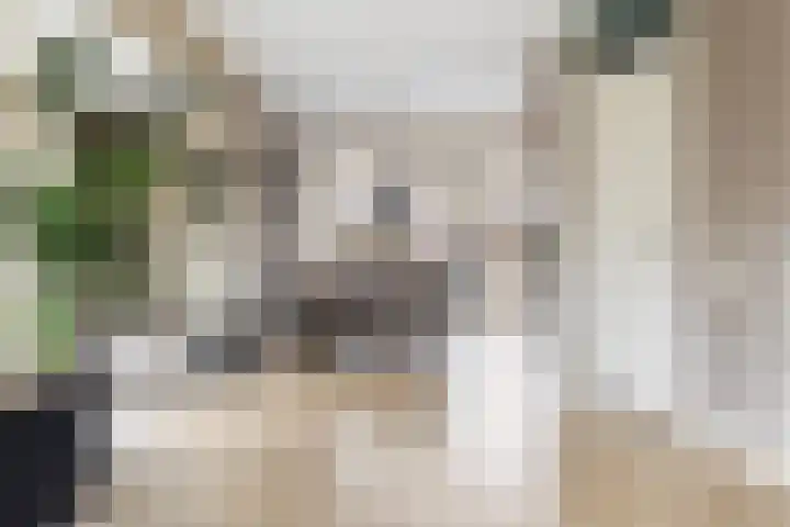 Voorstag 12 Klazienaveen thumbnail 11