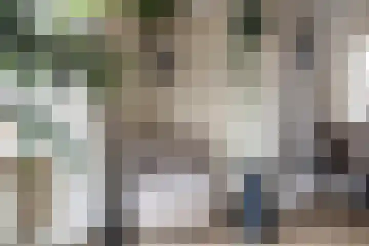 Voorstag 12 Klazienaveen thumbnail 12