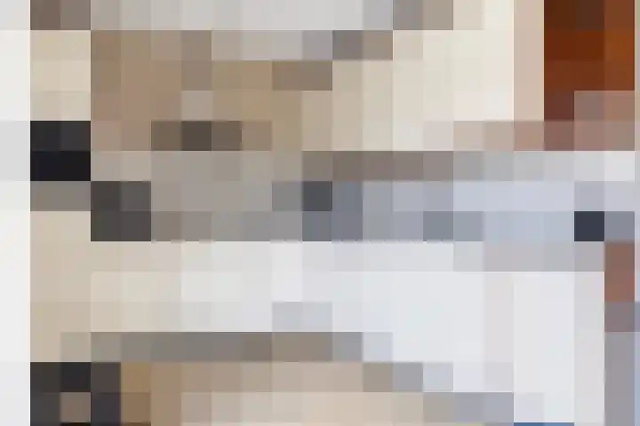 Voorstag 12 Klazienaveen thumbnail 13