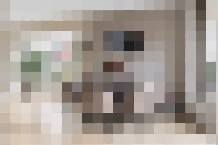 Voorstag 12 Klazienaveen thumbnail 16